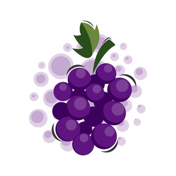 cartoon grape fruits design vector collection