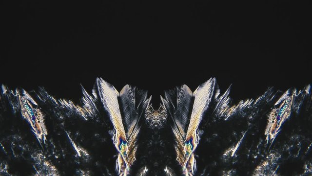 Video Art Vj Crystal Growth Under Microscope Timelapse