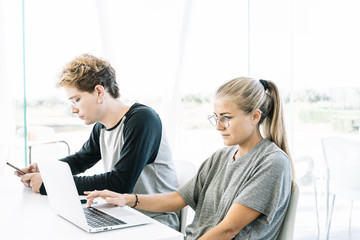 Fototapeta premium Woman and young man working side by side in a desk a workspace
