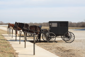 Fototapeta premium Amish Living 2019 II