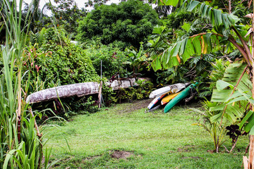 Canoes in storage under palm trees on island of Bora Bora, French Polynesia