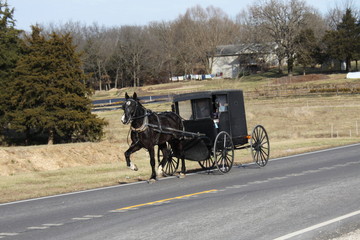 Amish Living 2019 IV