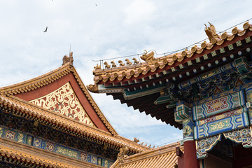 chinese temple roof