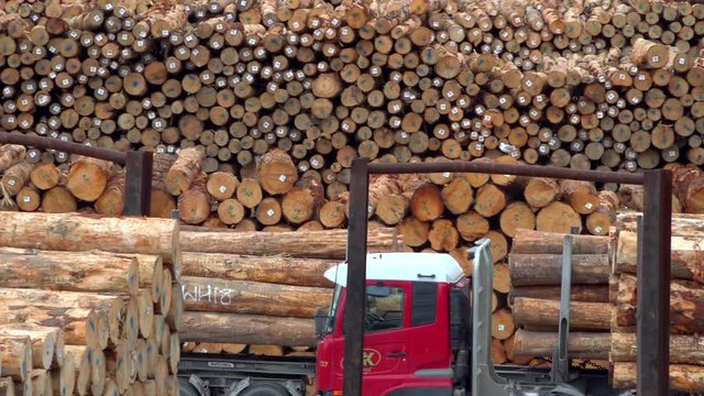 truck transporting wooden logs in a warehouse