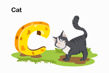 C for cat. cartoon animals alphabet illustration. Kid educational illustration.