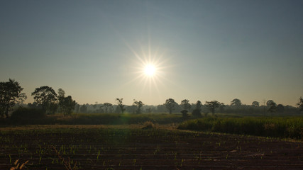 Fototapeta na wymiar The sun is rising in the morning And faint fog in winter