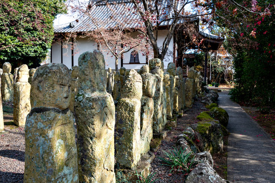 Stone images of the Buddha at Rakan-ji temple in Kasai city, Hyogo prefecture, Japan