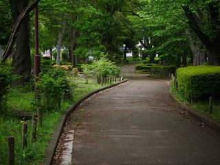 公園内の道