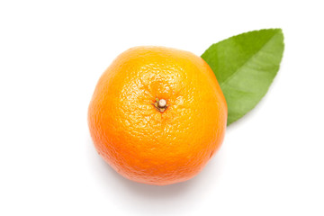 Close-Up Of Orange on White Background