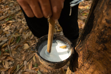 East of Thailand: December 2019, drop acid making rubber lumps.