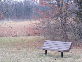 bench in the park