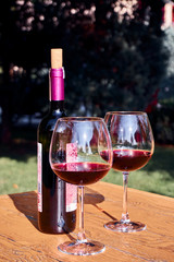 Fine Red Wine Tasting Concept