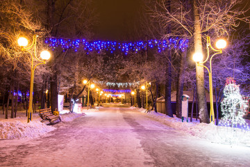 Fototapeta na wymiar Alley in the evening park decorated with illuminations before the New Year and Christmas. Russia. Khakassia. Abakan