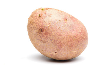 Rocco potato on white background.