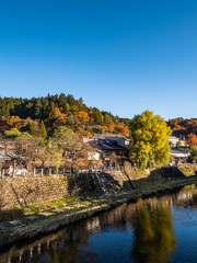Fototapeta na wymiar a beautiful autumn and spring in Japan