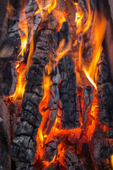 firewood in the hearth closeup