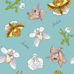 Flowers and branch of orchid vector illustration. Pink, green, yellow color.