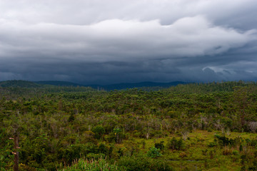 Rainforest in around Andasibe in Madagascar