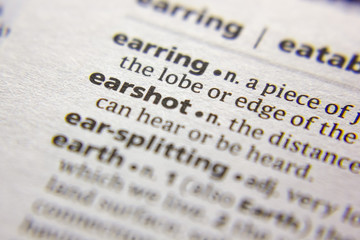 Word or phrase Earshot in a dictionary.