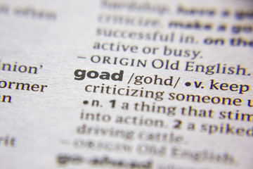 Word or phrase Goad in a dictionary.