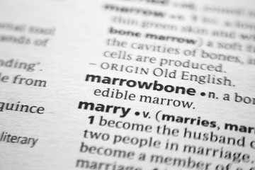 Word or phrase Marrowbone in a dictionary.