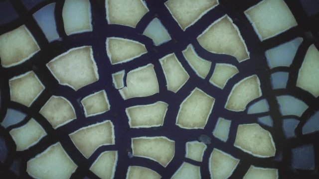 Chemistry. Crystal Growth Chemical Reaction Microscop Timelapse
