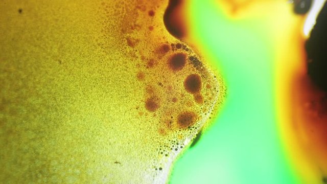 Cells, Chemical Reaction Under Microscope