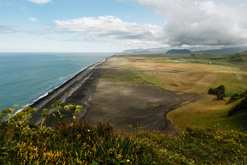 Black Sand Beach in Vik, Iceland