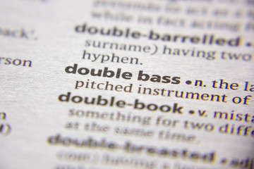 Word or phrase Double bass in a dictionary.