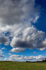 Fototapeta na wymiar Big clouds over green land.