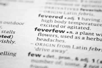 Fototapeta premium Word or phrase Feverfew in a dictionary.