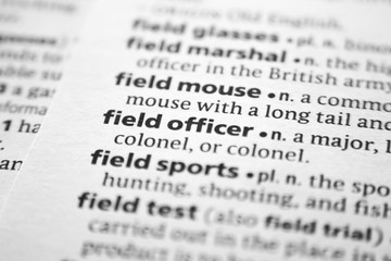 Fototapeta premium Word or phrase Field officer in a dictionary.