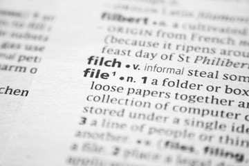 Fototapeta premium Word or phrase File in a dictionary.