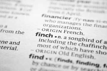 Word or phrase Finch in a dictionary.