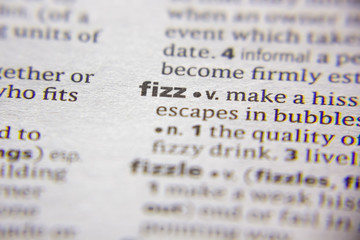 Word or phrase Fizz in a dictionary.