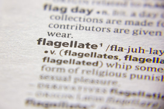 Word Or Phrase Flagellate In A Dictionary.