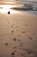由比ヶ浜と足跡