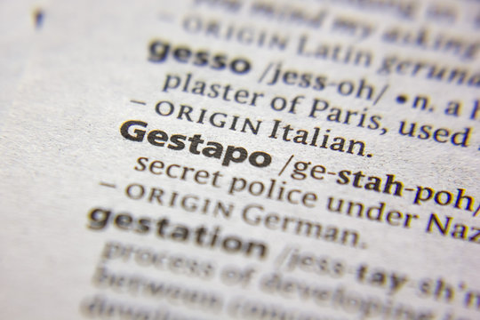 Word or phrase Gestapo in a dictionary.