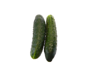 cucumber isolated on white background