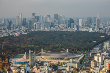 日本,東京の典型的な風景 Scenery of Japan in Tokyo 