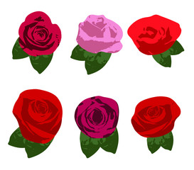 Set of 6 red roses, white background for various functions, cards, banners, websites, illustrations - vector