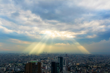 日本,東京の典型的な風景 Scenery of Japan in Tokyo 