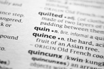 Fototapeta premium Word or phrase Quin in a dictionary.