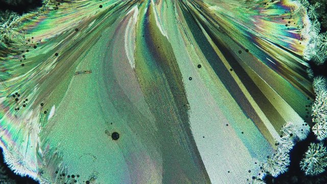 Chemical Reaction Under Microscope