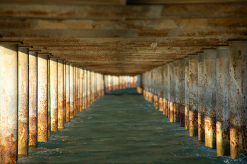 View under a jetty on a sunny evening. Focus close.