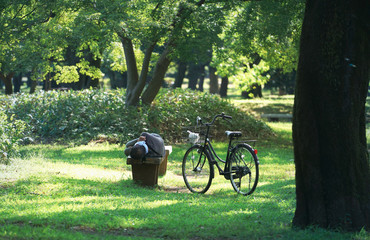 Obraz premium A man sleeping on a bench under a tree in park with bicycle