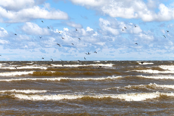 Windy day by gulf of Riga, Baltic sea.