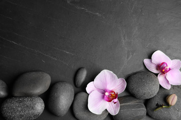 Obraz na płótnie Canvas Stones with orchid flowers and space for text on black background, flat lay. Zen lifestyle