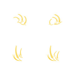 Agriculture wheat Logo Template vector icon design