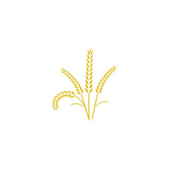 Agriculture wheat Logo Template vector icon design